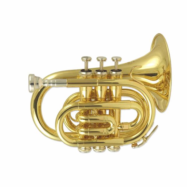 WISEMANN TROMPETIN DORADO C/ ESTUCHE DPT-400