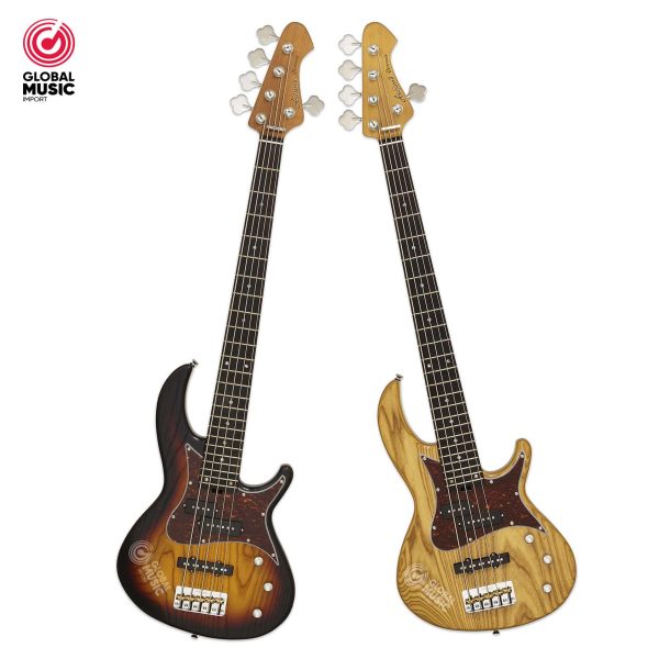 BAJO ELECTRICO DE 5 CUERDAS PASIVO ARIA PRO II 313-MK2/5